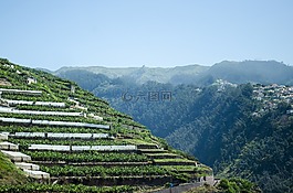 馬德拉,葡萄牙,性質(zhì)
