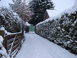 雪,車道,門