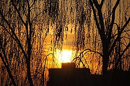 晚上,日落,天空