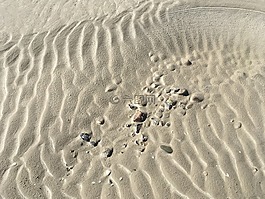 北海,海灘,沙