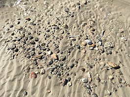 北海,海灘,沙
