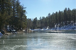 猞猁湖,冬天,雪