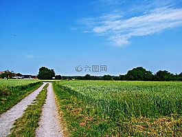 性質,字段,草甸