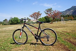 自行車,景觀,西西里