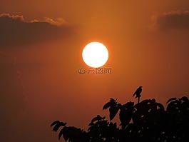 印度,日出,夏天