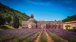 修道院,熏衣草,levandu?ové場