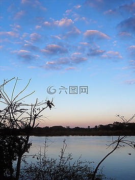 水,水域,銀行
