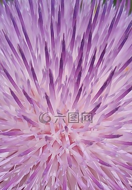 背景,壁紙,模式