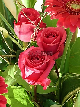 玫瑰,花束,鮮花