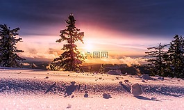 日出,冬天,雪