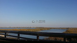 日出,日落,海洋