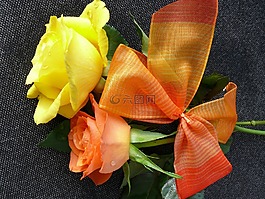 玫瑰,循環(huán),開(kāi)花