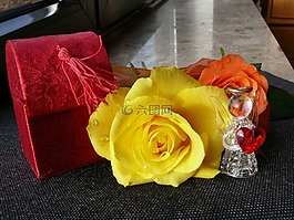 玫瑰,循環(huán),開(kāi)花