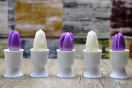 郁金香,鮮花,春天
