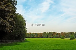 景觀,性質(zhì),森林