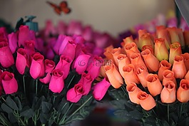 鮮花,玫瑰,花卉