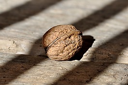 核桃,堅(jiān)果,健康