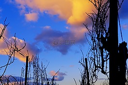 天空,云,心情
