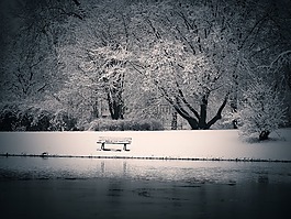 冬天,雪,寒冬
