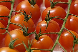 蕃茄,蔬菜,紅色