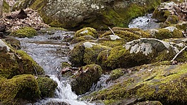 河,流,水