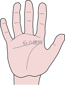 手,手指,拇指