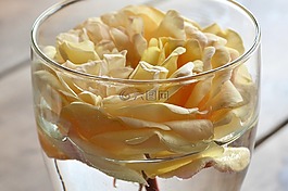 羅莎,裝飾,鮮花