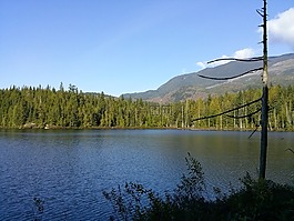 山,湖,樹(shù)