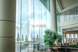 溫哥華,加拿大,目睹