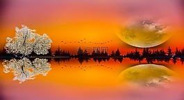 沒有人,大自然,黎明