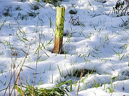 雪,冬天,寒冬