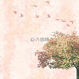 背景,樹,鳥