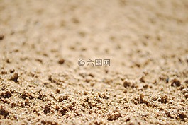 沙,海灘,紋理
