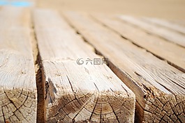 madrea,紋理,海灘