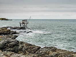 波尔尼克,鲽鱼,海