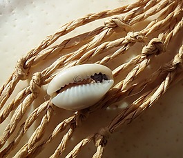 外殼,北海,假期