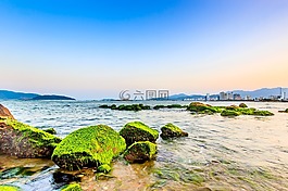 青苔,岩,大海