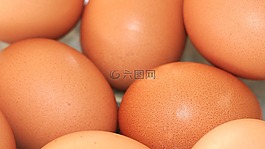 雞蛋,棕色,食品