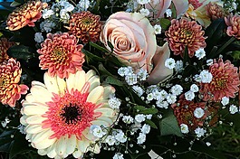 花,廠(chǎng),性質(zhì)