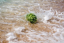 水體,性質(zhì),海