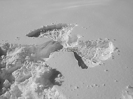 雪,天使,冬天