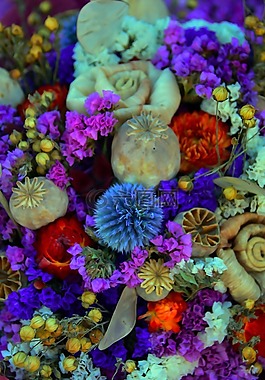 干花,顏色,花圈