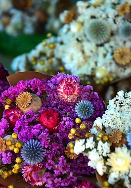 干花,顏色,花圈