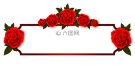 玫瑰,鮮花,板