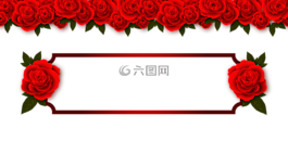 玫瑰,鮮花,板