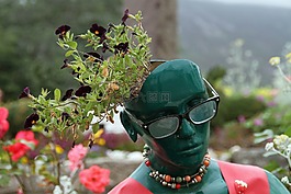花盆,花,鍋