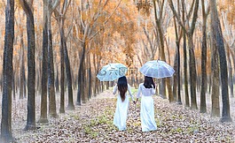 伊thoai,pham,huy