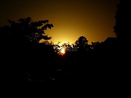 日落,太陽,橙色