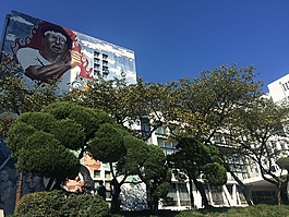 結(jié)構(gòu),大自然,慶熙大學(xué)