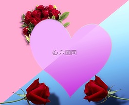 心臟,玫瑰,紅色
